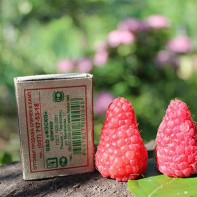 Foto von Himbeeren 6