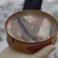 Surströmming-Foto 5