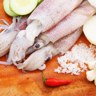Photo de calamars 3