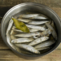 Photo de sprat 2