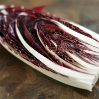 Photo de radicchio 2