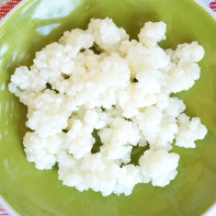 Photo du champignon de lait 3