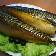 Makrelenfoto