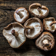 Foto von Shiitake-Pilzen 5