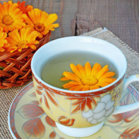 Photo de tisane de calendula 4