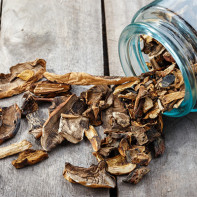 Photo de champignons séchés 2