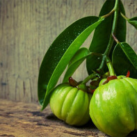 Photo du fruit du garcinia 2