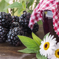 Photo de confiture de mûres 5