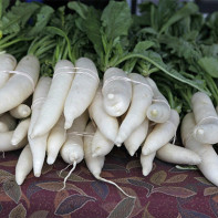 Photo de daikon 3