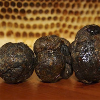 Photo de propolis 2