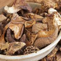 Photo de champignons séchés 4