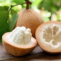 Photo du fruit santol 4