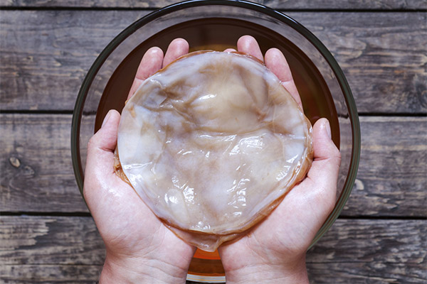Que se passe-t-il si l'on mange du kombucha