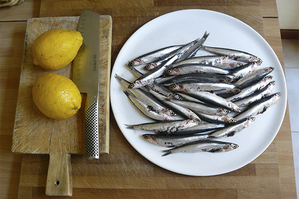 Was kann man aus Anchovis zubereiten?
