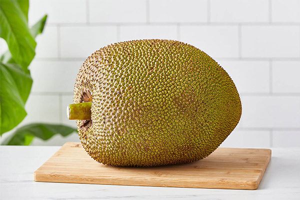 Que peut-on préparer à partir du jackfruit