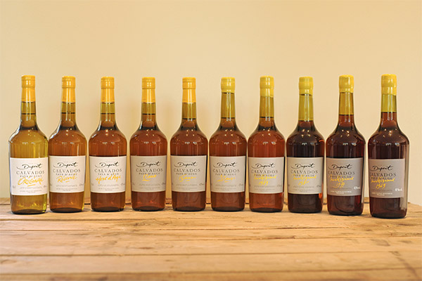 Faits intéressants sur le calvados