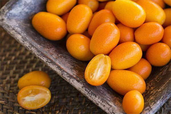Faits intéressants sur le kumquat