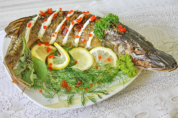 Comment cuisiner le brochet délicieusement