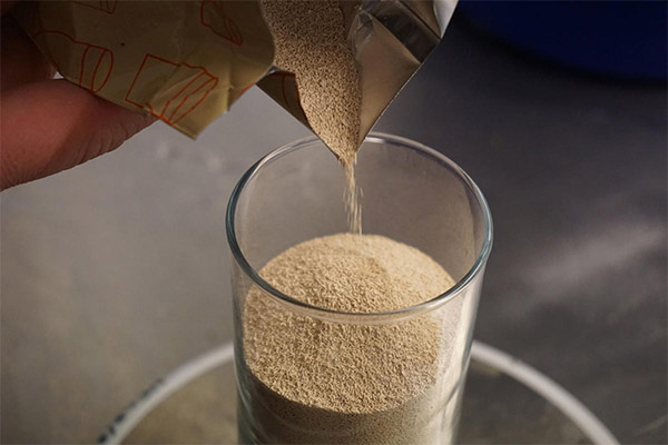 Comment choisir et conserver la levure de bière ?