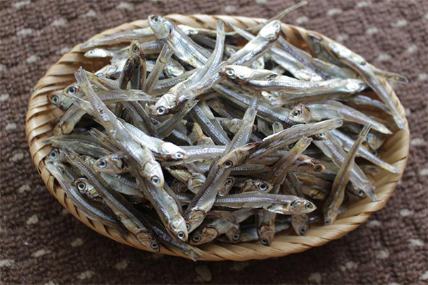 Sind getrocknete Sardellen gesund