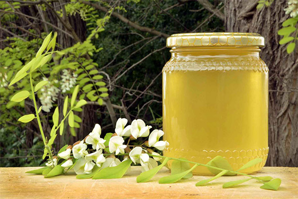 Les propriétés bénéfiques du miel d'acacia blanc