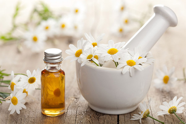 Utilisation de la camomille en cosmétologie