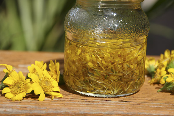Types de compositions médicinales à l'arnica