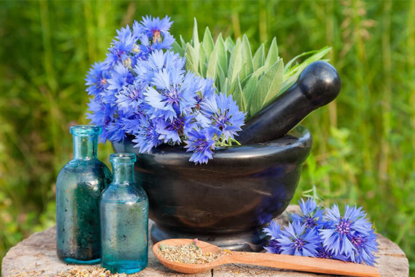 Arten von heilenden Zubereitungen mit Kornblume