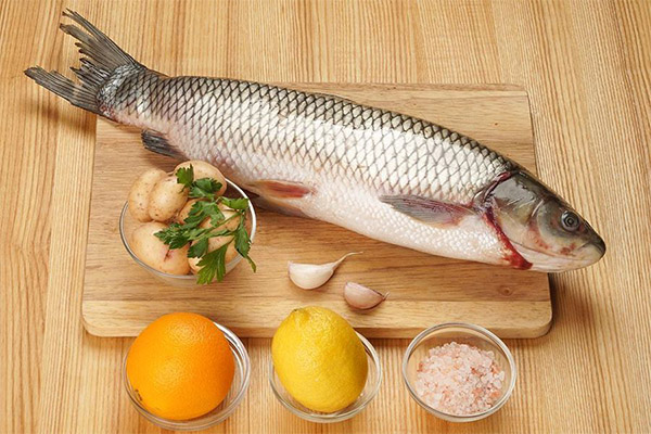 En quoi le poisson amour blanc est-il bénéfique ?