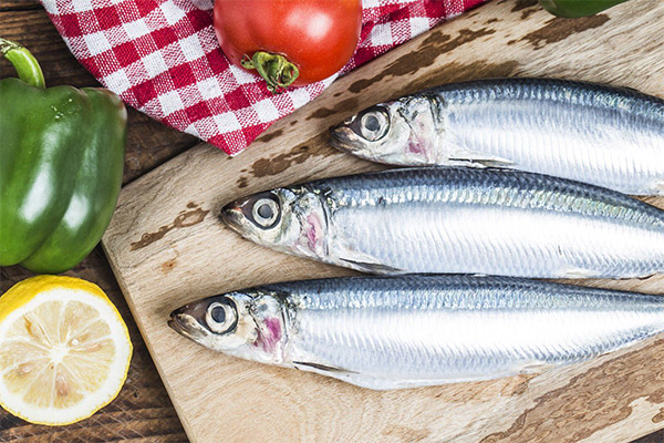 Que peut-on cuisiner avec la sardine