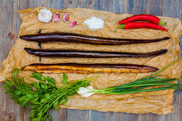 Comment cuisiner l'anguille délicieusement