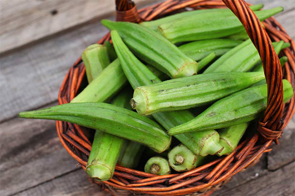 Wie man Okra auswählt und lagert