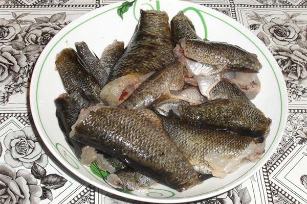 Comment choisir et conserver le poisson rotan