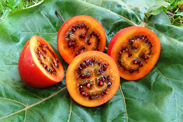 Propriétés bénéfiques du fruit tamarillo