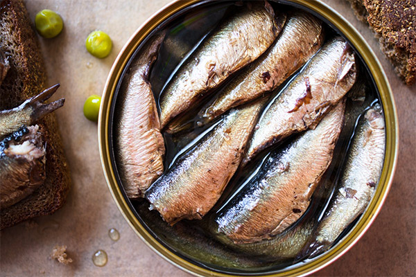 Avantages et inconvénients des conserves de sardines