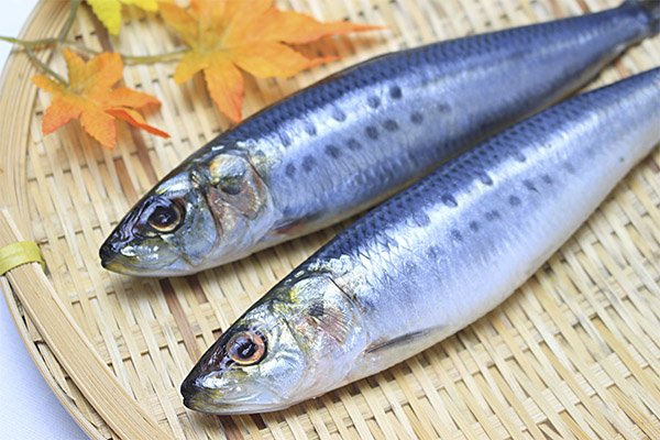 Avantages et inconvénients des sardines