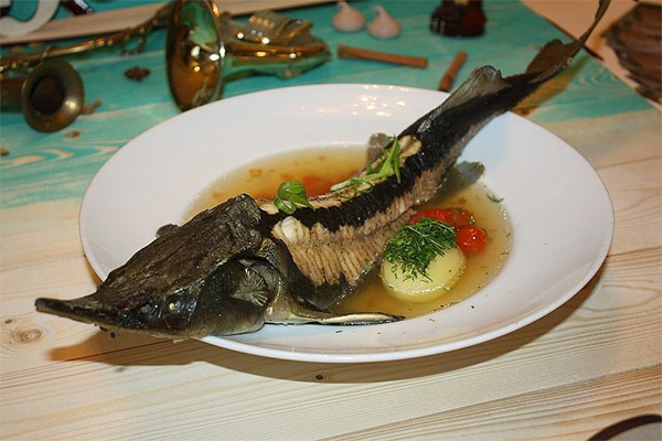 Soupe d'esturgeon