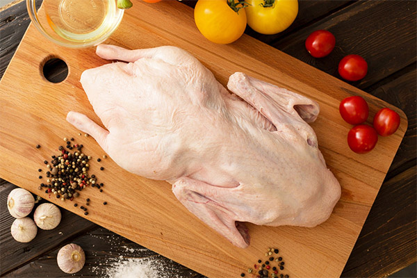 Was können Sie aus Gänsefleisch zubereiten?