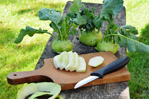Was kann man aus Kohlrabi zubereiten?