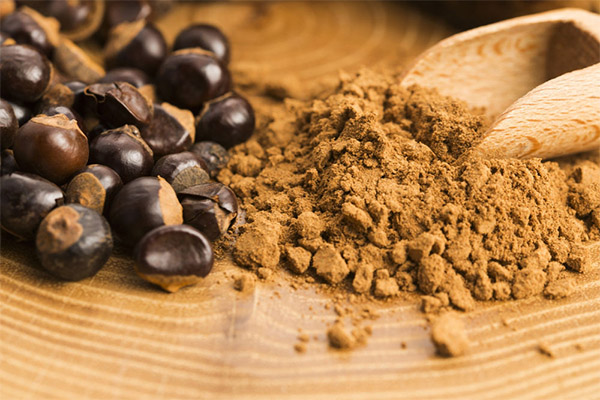 Guarana in der Kosmetologie