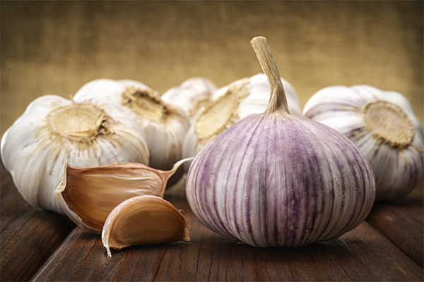 Wie Knoblauch den menschlichen Körper beeinflusst