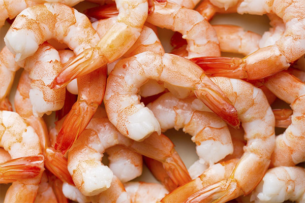 Comment bien choisir les crevettes