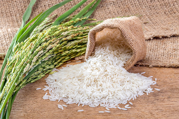 Comment le riz affecte-t-il le corps humain ?