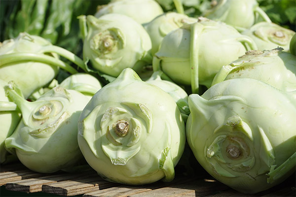 Wie Sie Kohlrabi auswählen und lagern