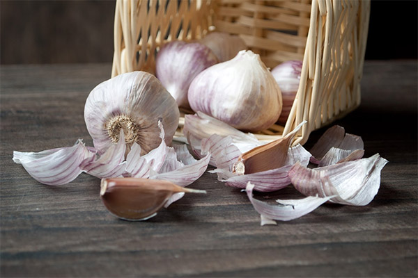 Welchen Schaden verursacht Knoblauch?