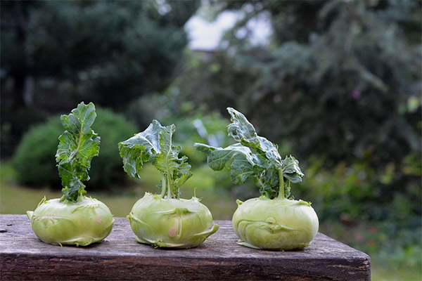 Kohlrabi in der Medizin