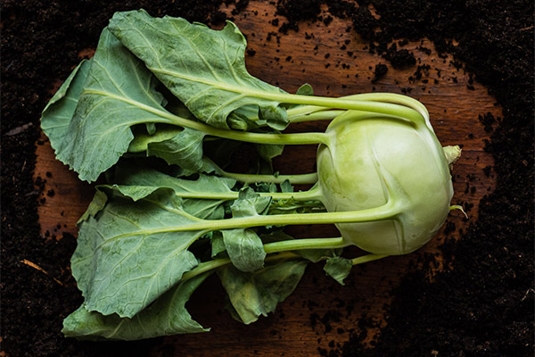 Kann man Kohlrabiblätter essen?