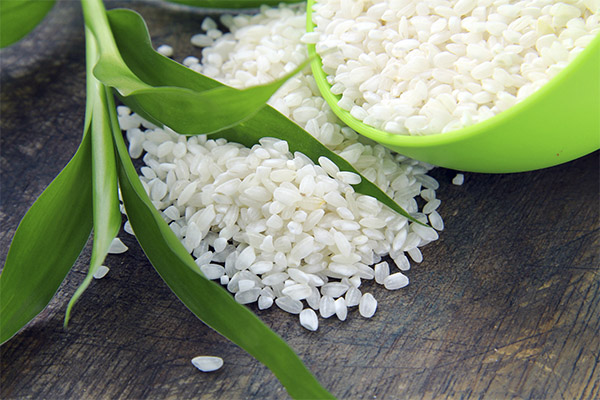 Propriétés bénéfiques du riz