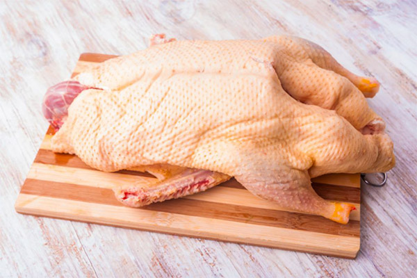 Nutzen und Schaden von Gänsefleisch