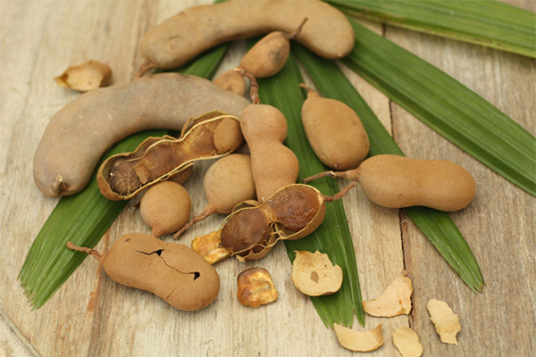Nutzen und Schaden der Tamarinde